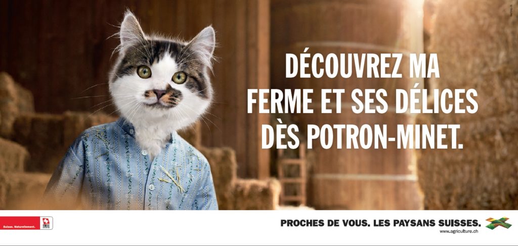 chat f