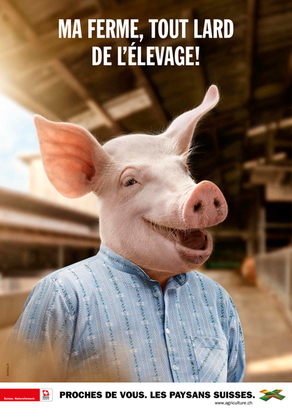 cochon f